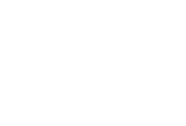 Net Insight logo